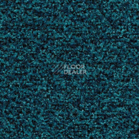 Грязезащитные покрытия Forbo Coral Brush 5705 Bondi blue фото 1 | FLOORDEALER